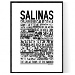 Salinas Poster