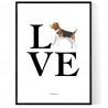 Love Beagle Poster