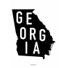 State Of Georgia Poster