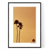 California Palms Poster