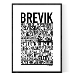 Brevik Poster