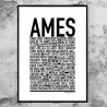 Ames IA Poster