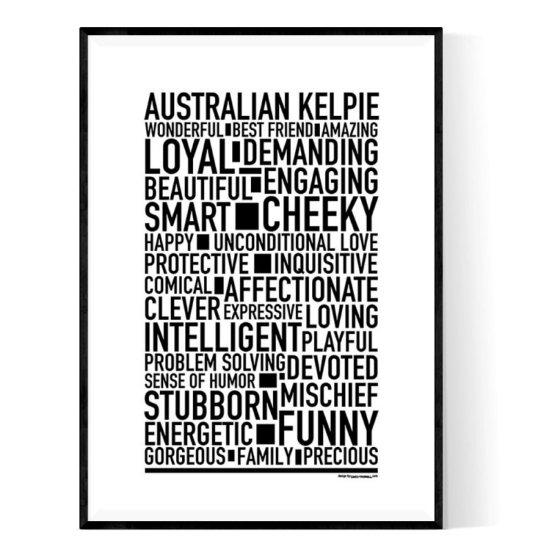 Australian Kelpie Dog Poster