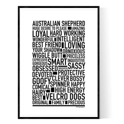 Australian Shepherd Dog Poster
