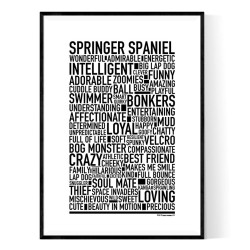 Springer Spaniel Dog Poster