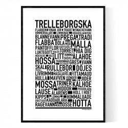 Trelleborgska 2022 Poster