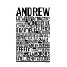 Andrew Poster