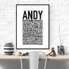 Andy Poster