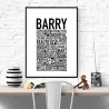 Barry Poster