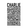 Charlie Poster