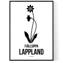 Landskapsblomma Lappland Poster