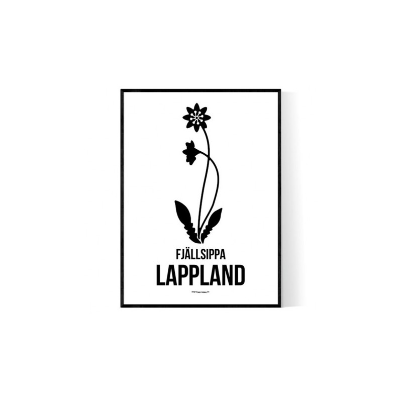 Landskapsblomma Lappland Poster