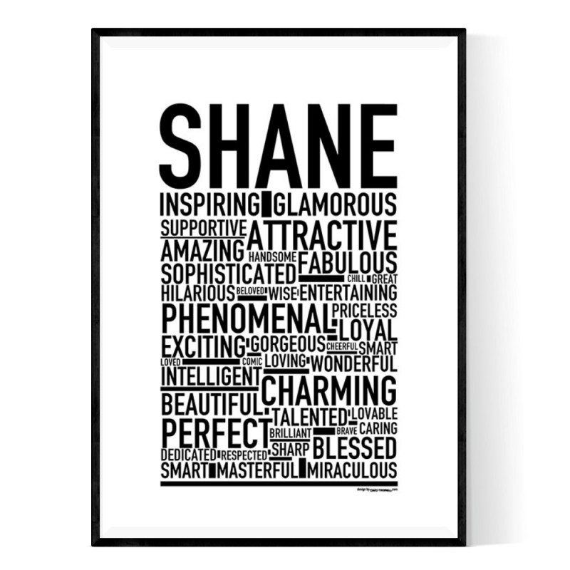 Shane Poster