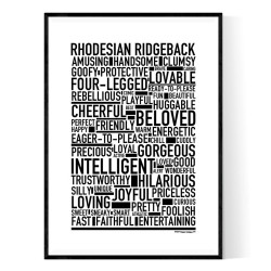 Rhodesian Ridgeback Dog Poster