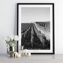 Bourgogne Wineyard Poster