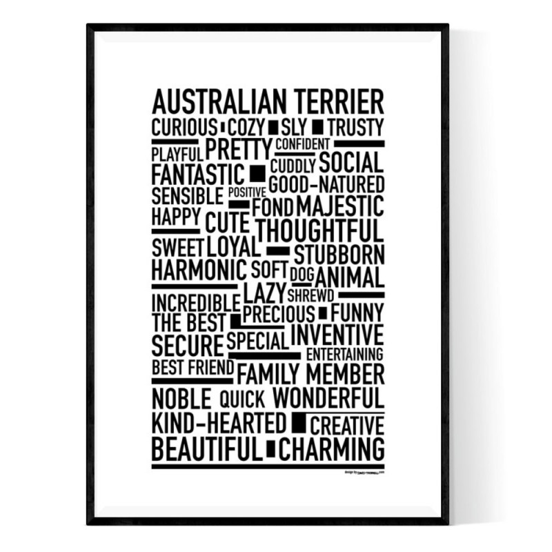 Australian Terrier Poster