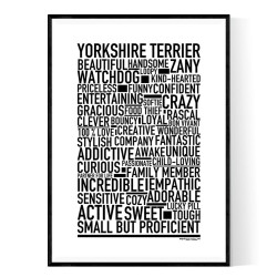 Yorkshire Terrier Poster