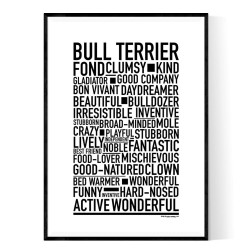 Bull Terrier Poster