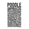Poodle Poster