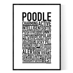 Poodle Poster