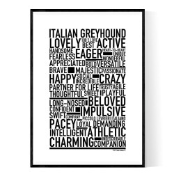 Italian Greyhound Poster