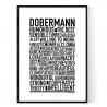 Dobermann Poster