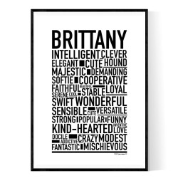 Brittany Poster
