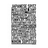 Japanese Spitz Poster