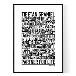 Tibetan Spaniel Poster