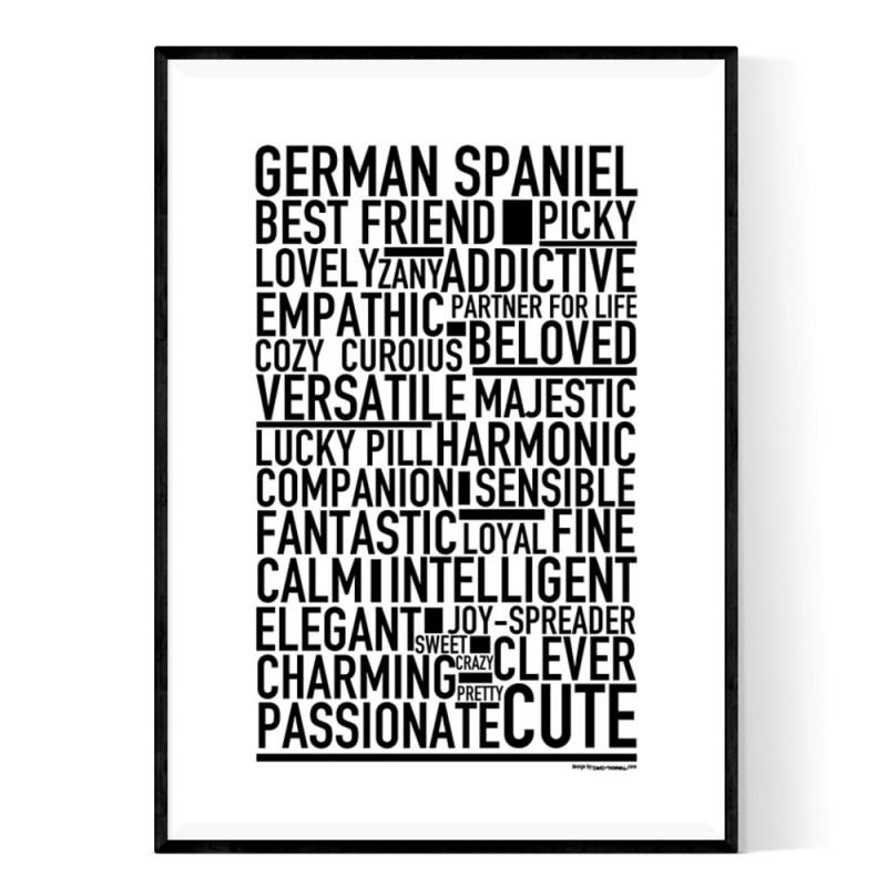 German Spaniel Poster