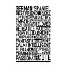 German Spaniel Poster