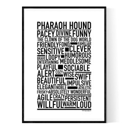 Pharaoh Hound Poster