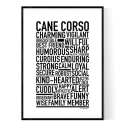 Cane Corso Poster