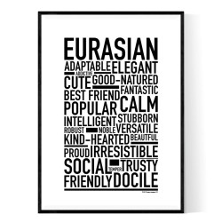 Eurasian Poster