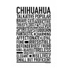 Chihuahua Poster