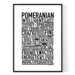 Pomeranian Poster