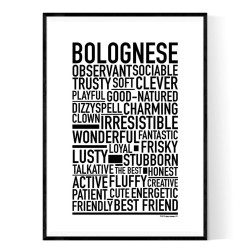 Bolognese Poster