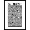 Tallahassee Poster