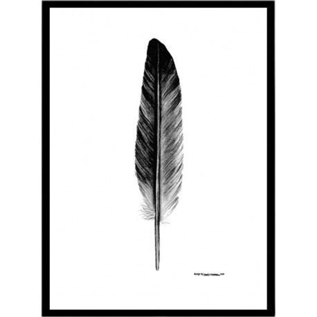 Feather Poster