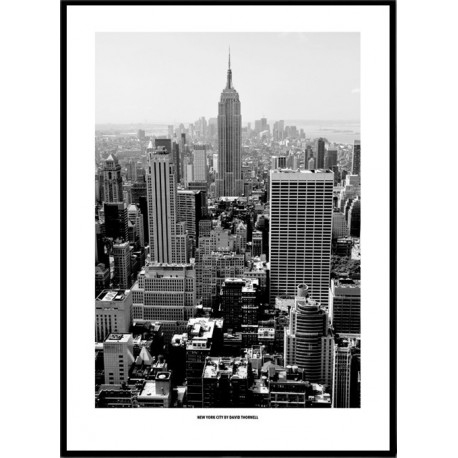 Black & White New York Poster