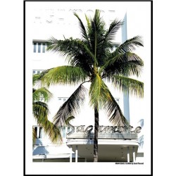 Sagamore Miami Beach Print