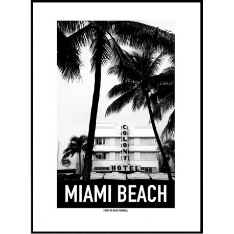 Colony Miami Beach Poster