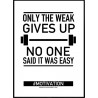 Motivation Poster