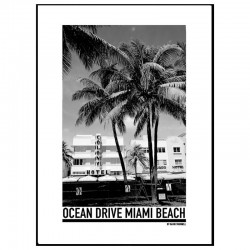 Miami Beach Poster