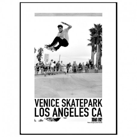 Venice Skatepark Poster