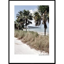 Florida Beach Posters
