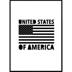 USA Flag Poster