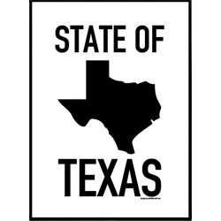 State Of Texas Poster
