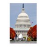 U.S Capitol DC