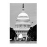 U.S Capitol DC